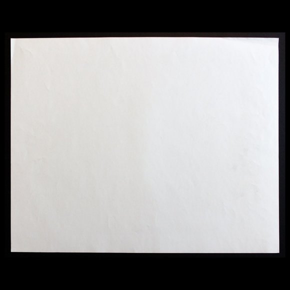 Thomas Palmerton "Galvanized Tin" Signed and Numbered Print - Picture 2 of 6